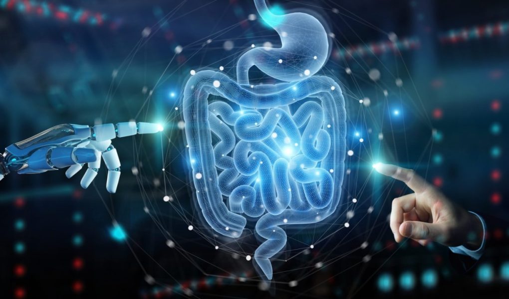 Gut Health Revolution: Diet Berbasis Mikrobioma untuk Mental yang Lebih Sehat