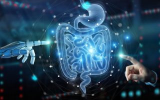 Gut Health Revolution: Diet Berbasis Mikrobioma untuk Mental yang Lebih Sehat