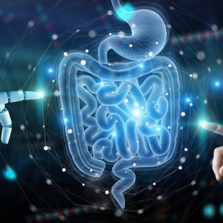 Gut Health Revolution: Diet Berbasis Mikrobioma untuk Mental yang Lebih Sehat