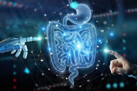 Gut Health Revolution: Diet Berbasis Mikrobioma untuk Mental yang Lebih Sehat